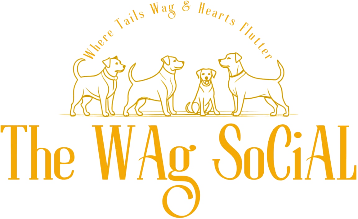 wag logo transparent